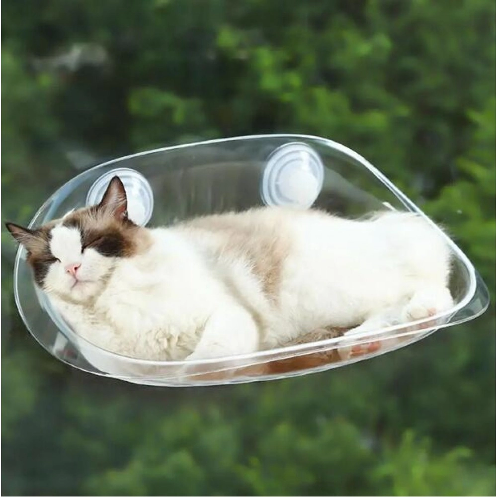 Cat Hammock Wall-mounted Bed Transparent Hammock Cat Furniture Kitten Wall Shelf For Playing Climbing Cat Pet Accessories